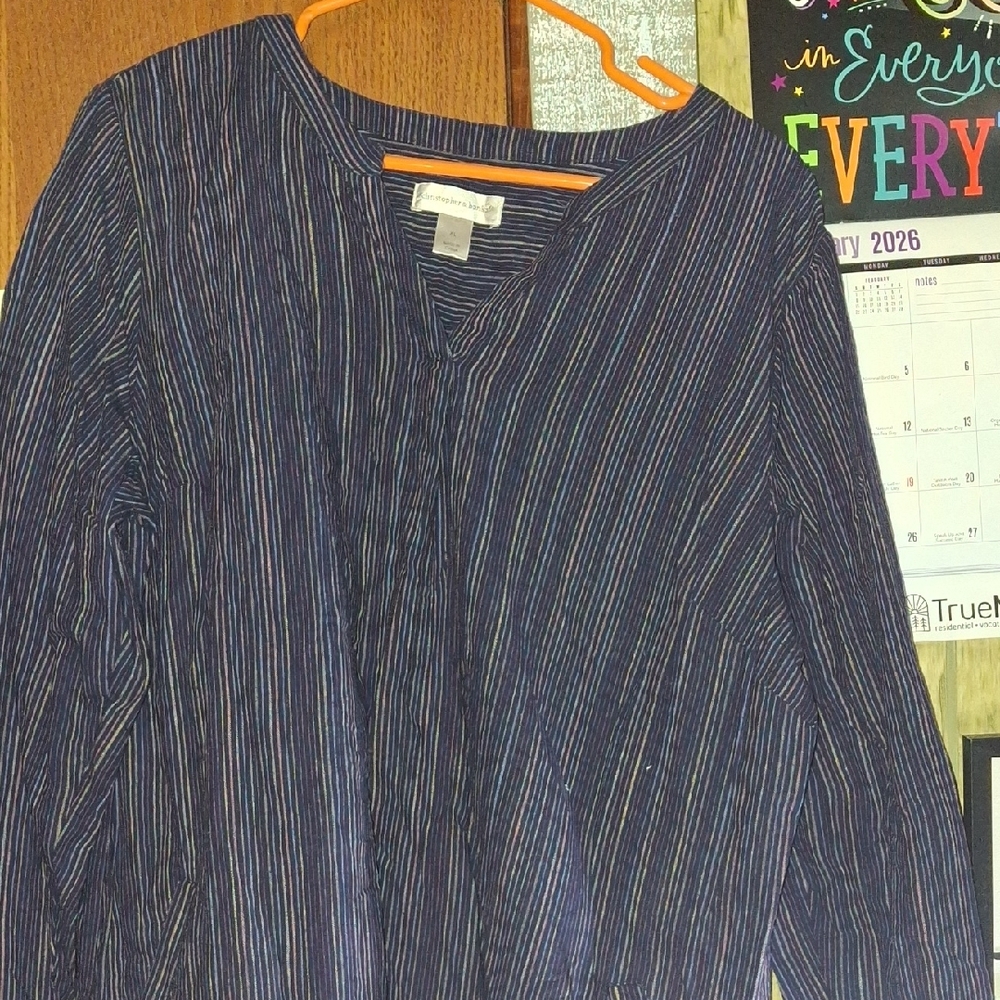 Christopher & Banks Navy Striped Blouse